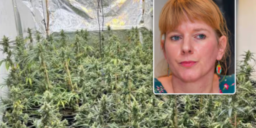 “Nëna ime e apasionuar pas luleve”, dëshmitë në Gjyktën belge, dënohen 3 shqiptarët