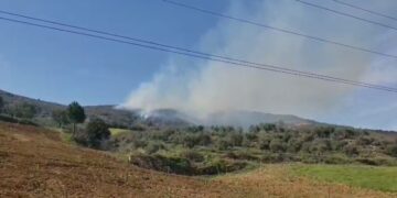 Alarm në Berat, zjarr në ullishtet e Duhanasit, po avancon drejt zonës me pisha