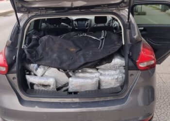 . Tentoi të kalonte 60 kg marijuanë në kufi, arrestohet një 18-vjeçari