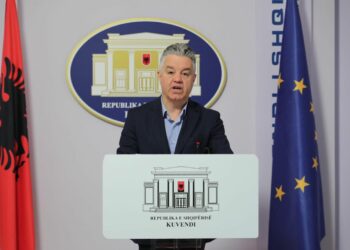 ‘Shqiptarët pagujnë 125 lekë taksë për çdo litër naftë’, PD propozon masat për uljen e çmimit