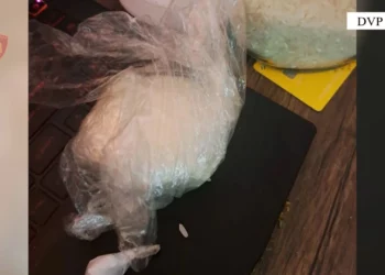 Shpërndante kokainë dhe hashash në qytet, arrestohet 36-vjeçari nga Lushnja