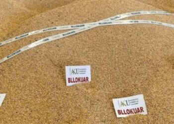 24 ton misër me aflatoksinë B1 bllokohet në Qafë-Botë, ishte importuar nga Greqia