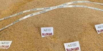 24 ton misër me aflatoksinë B1 bllokohet në Qafë-Botë, ishte importuar nga Greqia