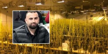 Magazinat me kanabis në Peqin, zbardhet dëshmia e drejtorit të burgut, ia ‘faturon’ vëllait përgjegjësinë