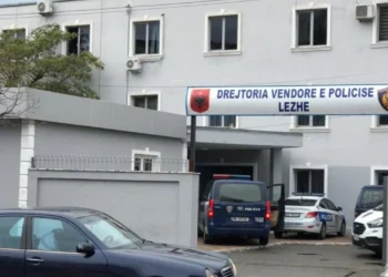 Denoncimi: 30-vjeçarja braktis fëmijët e saj të mitur dhe largohet jashtë vendit