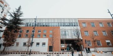 Braktis foshnjën pas lindjes? E huaja zhduket në Tiranë, në ndjekje nga policia