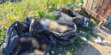 Skandal i heshtur? Akuzat për trajtimin e mbetjeve shtazore dhe mungesa e reagimit institucional në Bashkinë  e Tiranës