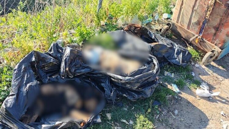 Skandal i heshtur? Akuzat për trajtimin e mbetjeve shtazore dhe mungesa e reagimit institucional në Bashkinë  e Tiranës