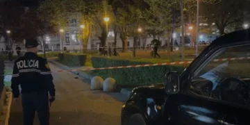 Plagosja e dyfishtë në Shkodër, autori i dyshuari me precedent për armë dhe drogë