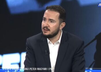 Salianji: Berisha ka kontributet e tij, por tani është pengesë për rotacionin