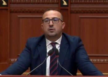 Korreshi: Po të hëngrën qentë në Lushnje tërbohesh, s’ka tetanoz