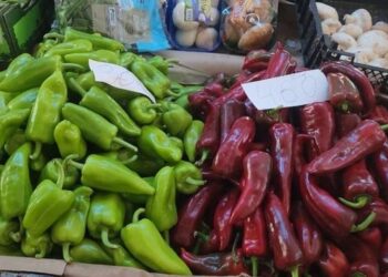 Rritje historike e çmimeve të perimeve në Tiranë, domatet dhe kastravecat +20% brenda ditës