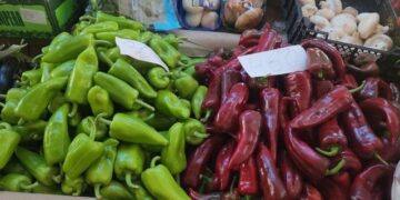 Rritje historike e çmimeve të perimeve në Tiranë, domatet dhe kastravecat +20% brenda ditës