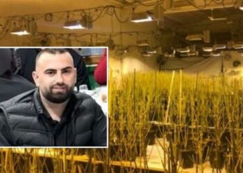 Magazina e kanabisit në Peqin, kamera nxjerr zbuluar policët, lanë Romario Hasën të ikte