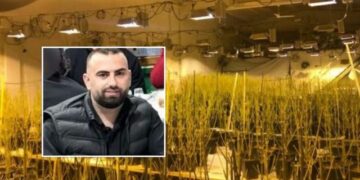 Magazina e kanabisit në Peqin, kamera nxjerr zbuluar policët, lanë Romario Hasën të ikte