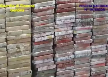 Raporti i Komisionit Rajonal Antimafia/ ANSA: Ndrangheta dhe mafia shqiptare partnerë në krimin italian