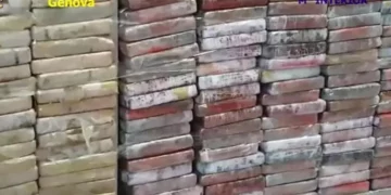 Raporti i Komisionit Rajonal Antimafia/ ANSA: Ndrangheta dhe mafia shqiptare partnerë në krimin italian