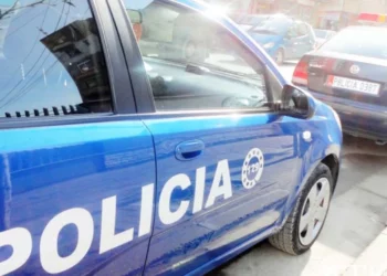 Të shtëna në Nikël/ Viktima dhe autori ishin fqinj, detajet e para