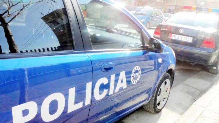 Të shtëna në Nikël/ Viktima dhe autori ishin fqinj, detajet e para