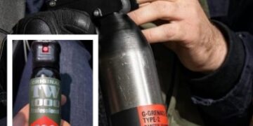 “Foto e spray-t, mashtrim”, Berisha: Policia konfirmoi përdorimin e verbuesit të ariut kundër protestuesve!