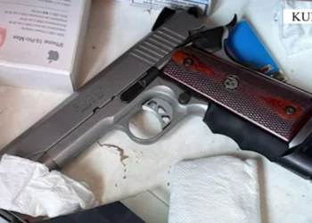 U kap me armë dhe kokainë në hotel, arrestohet 42-vjeçari në Kurbin (Emri)