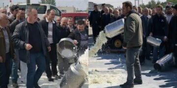 Blegtorët prodhues të qumështit njoftojnë protestë para Ministrisë së Bujqësisë: Po falimentojmë