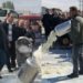 Blegtorët prodhues të qumështit njoftojnë protestë para Ministrisë së Bujqësisë: Po falimentojmë