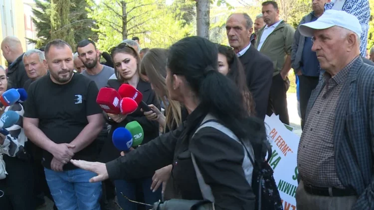 Fermerët protestues përplasen me njëri-tjetrin pas takimit në ministri: Pse pranuat 120 mijë lekë për lopë?