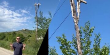 Tela të zhveshur në shtylla elektrike prej druri në zonën e Darsisë, Korreshi thirrje ministrit: Shikoje o Karakaç!