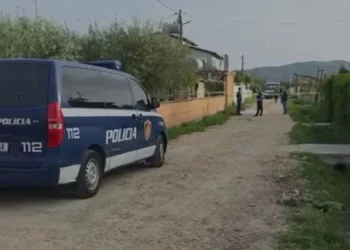 55-vjeçari gjendet pa shenja jete në mes të rrugës, ja çfarë dyshohet (Emri)