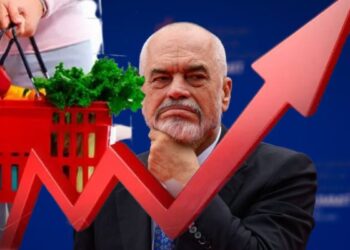 Shporta e shkurtit/ Rriten çmimet për prodhimet e freskëta, mollët dhe vezët kryesojnë listën