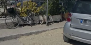 Ishte duke luajtur me gjyshen në Lungomare, Pitbulli kafshon në kokë 4-vjeçaren