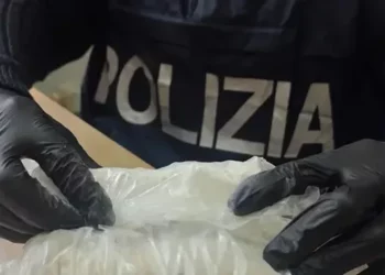 Mbi 150 kg drogë dhe 55 mijë euro nën shtrat, arrestohen 3 shqiptarë në Itali