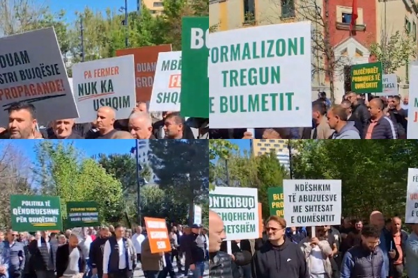 “Bojkotoni ushqimin serb!”/ Blegtorët protestojnë para ministrisë së Bujqësisë: Nuk jemi për politikë, por për të drejtat tona