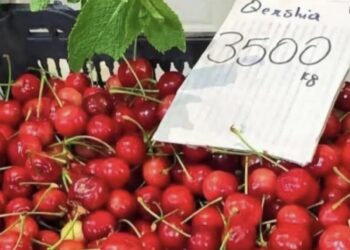 Qershia ja kaloi edhe bitcoin-it!