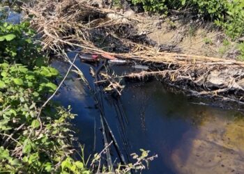 Katër punonjës të ‘Albpetrol’ ndotin Parkun Kombëtar të Vjosës, vihen nën hetim