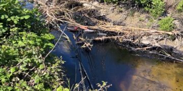 Katër punonjës të ‘Albpetrol’ ndotin Parkun Kombëtar të Vjosës, vihen nën hetim