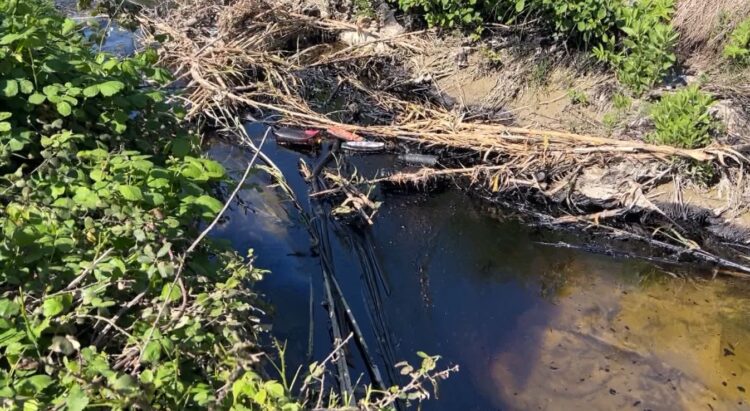 Katër punonjës të ‘Albpetrol’ ndotin Parkun Kombëtar të Vjosës, vihen nën hetim