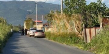Shqiptari u gjet i vrarë me plumb në kokë në një stallë, merret në pyetje bashkatdhetari