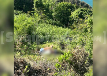 Përgjaket Durrësi, një tjetër person humb jetën në aksident te Kepi i Rodonit! (EMRI)