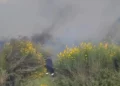 Zjarri në Panaja del jashtë kontrollit, flakët afrohen drejt kodrave