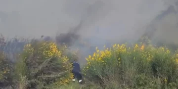 Zjarri në Panaja del jashtë kontrollit, flakët afrohen drejt kodrave