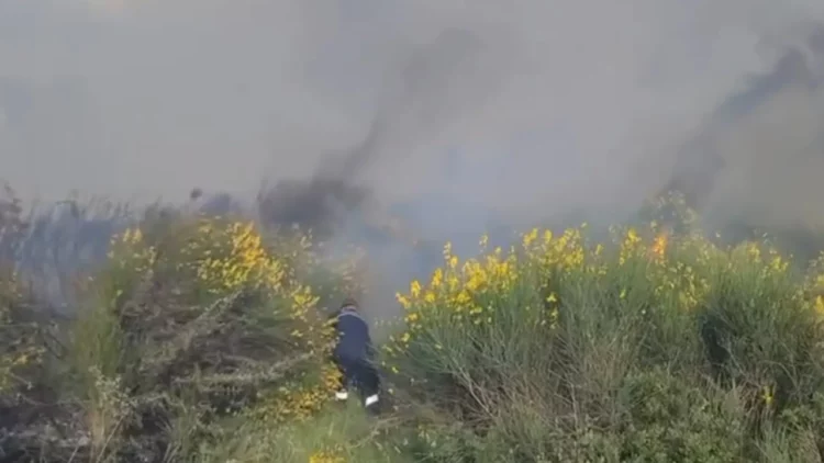 Zjarri në Panaja del jashtë kontrollit, flakët afrohen drejt kodrave
