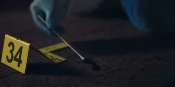 Tragjedi në Ulqin, burri vret partneren nga Shqipëria dhe më pas e djeg