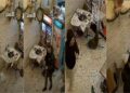 Atentati ndaj “Guçit”/ Si u lokalizua dhe arrestua Fabjan Brahja, në kërkim Bledar Çuni