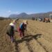 Shqiptarët shënojnë edhe një rekord tjetër në Europë, si më të lodhurit në vendin e punës