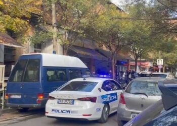 Detajet/ “Mendova se nuk kishte fishek në fole”, si e qëlloi i riu shokun në kokë me pistoletë
