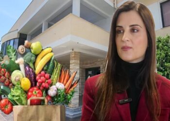 Korrupsioni ha ushqimin e konviktorëve/ Emiriana Sako i dhuron familjes Sinani nga Karbunara kontratën 1 miliard lekë