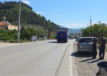 E rëndë në Elbasan! Fëmija i shpëton nga dora të ëmës, përplaset për vdekje nga makina