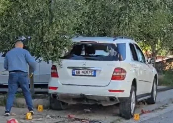 Aksidenti tragjik me dy fëmijë të vdekur! Policia: Nikoll Radaçi problematik, i ishte hequr patenta dy herë